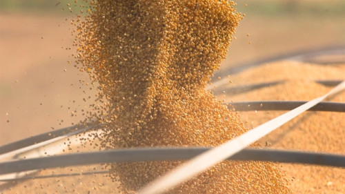 Mercados agrícolas operam com ajustes e cautela