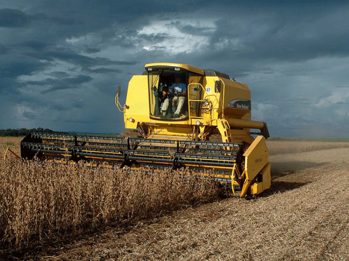 Cenários regionais da soja mostram contrastes na safra