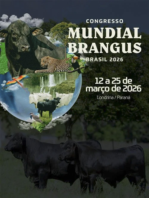 Congresso Mundial Brangus 2026 abre inscrições gratuitas no Brasil