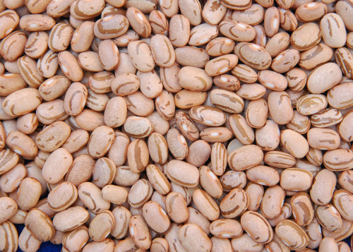 Oferta curta sustenta alta no feijão