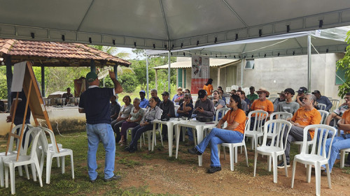 Pesquisa da Embrapa reduz custo da silagem de milho para R$ 217 a tonelada