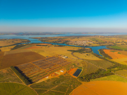 Pasto é dinheiro: conheça a estratégia para produzir a arroba mais barata de 2026