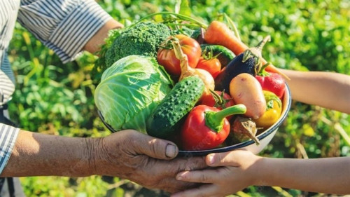 Embrapa lança curso gratuito para facilitar crédito do Pronaf Agroecologia