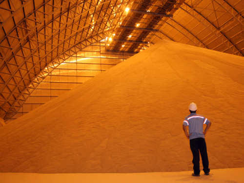 Mercados agrícolas iniciam dia em ajuste