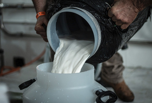 Leite: Gadolando denuncia queda nos preços pagos ao produtor gaúcho