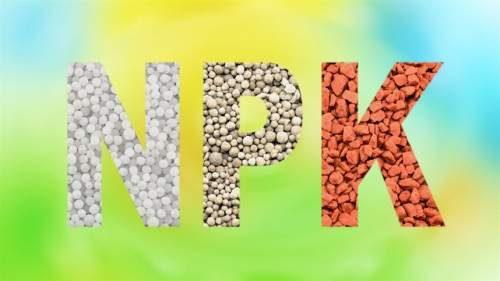Índices mostram valorização persistente dos fertilizantes