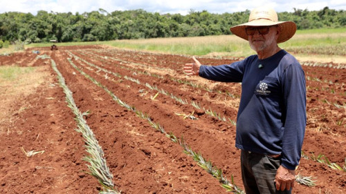 "O Senar é o médico da terra": aposentado transforma prejuízo em lucro no MS