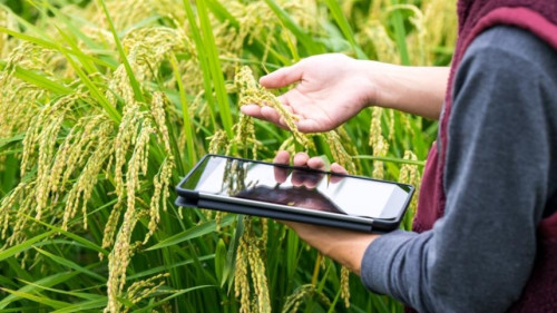 Nova tecnologia pode mudar preço das terras