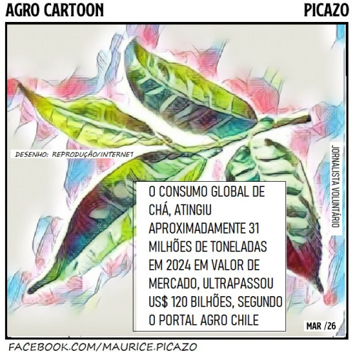 Coluna AgroNotícias