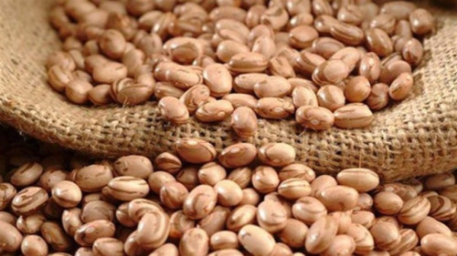 Estimativas elevam cautela no mercado do feijão