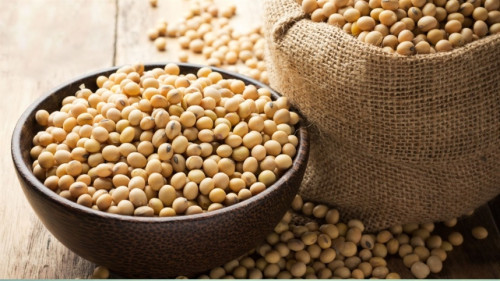 Mercado agrícola abre semana com sinais mistos