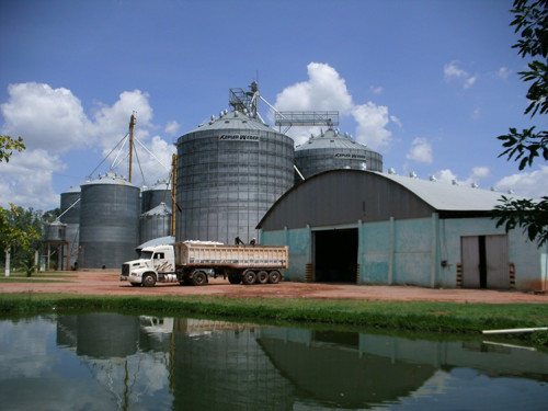 Armazenagem de precisão: como proteger a rentabilidade na pós-colheita
