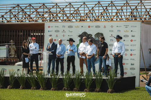 Mundial Brangus 2026: 13 países buscam genética brasileira em Londrina