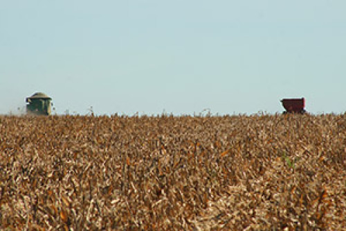 Erros no início podem derrubar sua produtividade