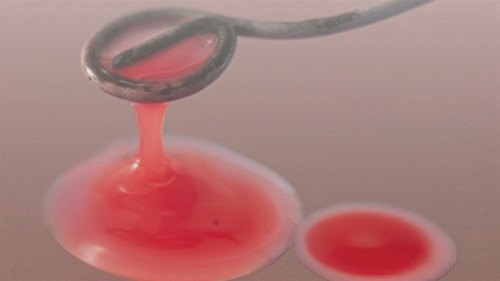 Guia de bioinsumos: Embrapa Soja lança manual no seu aniversário de 51 anos