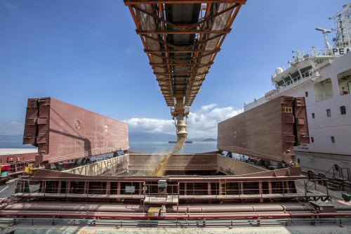 Alerta no campo: Rússia prorroga controle sobre embarques de insumos