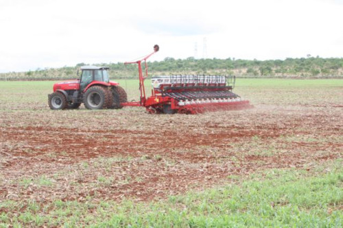 Preço da soja despenca com plantio acelerado nos EUA e queda na demanda chinesa
