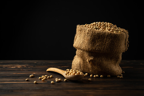 Câmbio vira o jogo e mexe com preços da soja