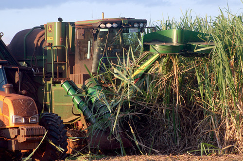 Etanol e SAF: a estratégia do Brasil para conquistar a Europa