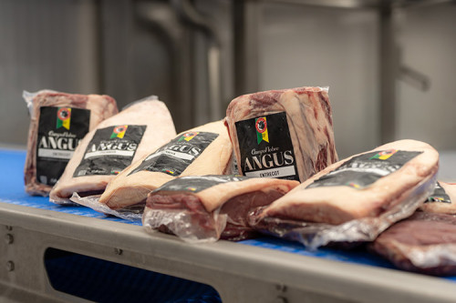 Callegaro e Associação Brasileira de Angus firmam parceria para certificar carne premium