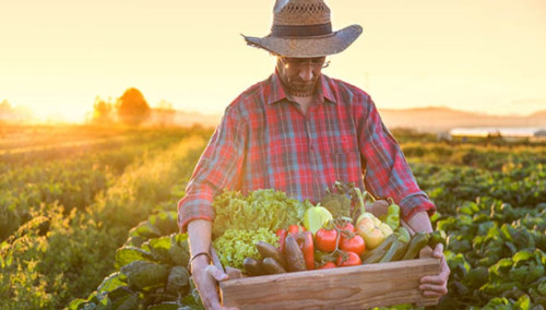 Inscrições abertas: 4º Encontro Nacional do IBRAHORT debate inovação e valor