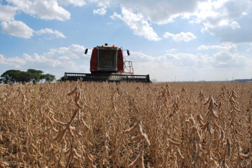 Superávit histórico: Agro brasileiro exporta US$ 38,1 bilhões no 1º trimestre de 2026