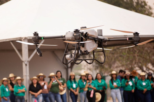 Aprenda na feira: Senar/MS abre oficinas gratuitas nos dias 16 e 17