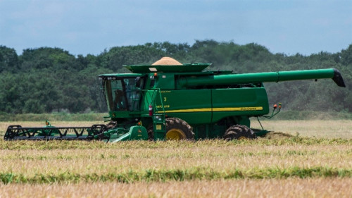 Colheita do arroz: O dilema entre adiantar ou atrasar para fugir do caos logístico