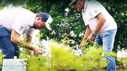 ABAF e Governo da Bahia estendem silvicultura para novos consórcios
