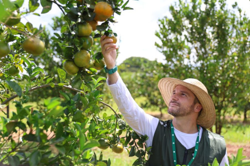 Senar/MS abre 480 vagas gratuitas para técnicos em agronegócio