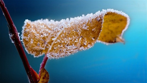 Calor, frio e geada: o clima vira de vez no campo