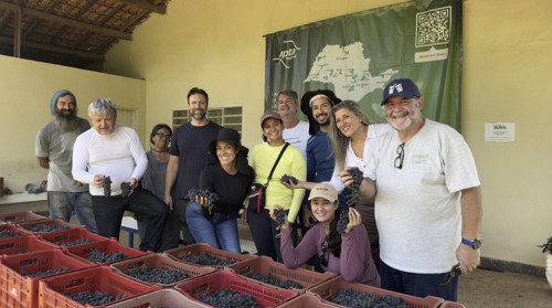 São Roque conquista Medalha de Platina no 1º Concurso Brasileiro de Suco de Uva