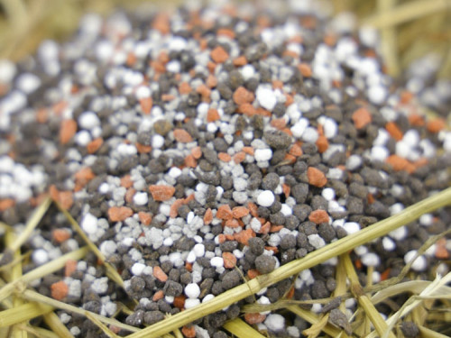 Consumo de fertilizantes deve cair no Brasil: Entenda