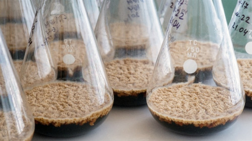 Bioinsumos avançam com alerta no solo