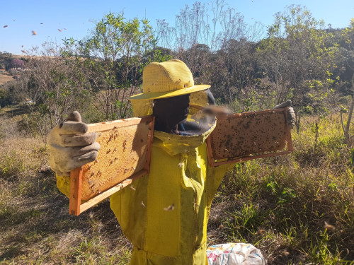 Pesquisa em Monte Alegre do Sul mapeia produção de mel na seca