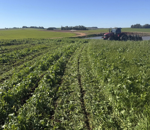 Compactação do solo já afeta mais de 60% das áreas agrícolas intensivas no RS e impulsiona adoção de tecnologias embarcadas