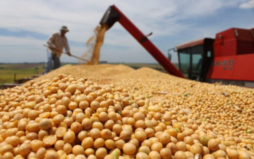Vazio sanitário da soja em MT começa em 8 de junho com novas regras