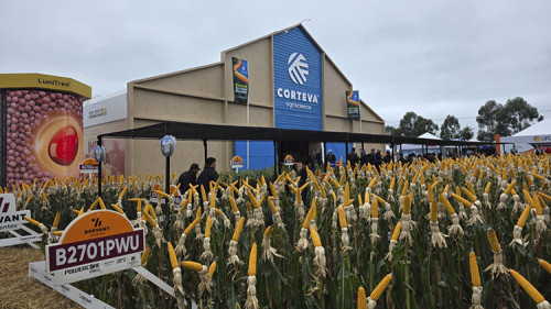 Showtec 2026: Corteva lança plano para elevar a produção de grãos