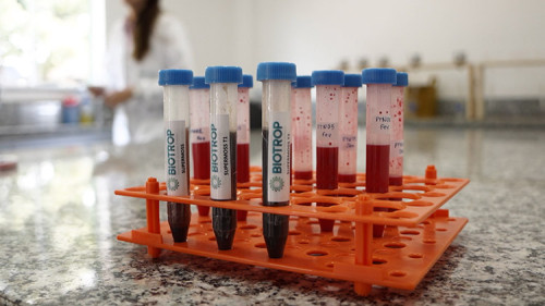 Bioinsumos protegem rentabilidade em meio à escassez de fertilizantes