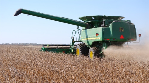 Área de soja pode perder ritmo em 2026/27