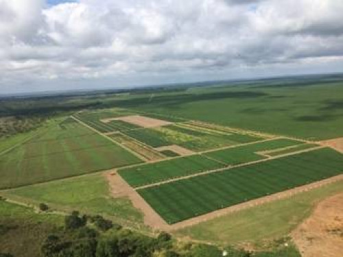 SEEDCORP|HO atualiza portfólio e investe mais em pesquisa para dobrar faturamento em cinco anos