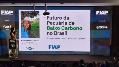 Embrapa revela o plano científico para zerar o carbono na pecuária