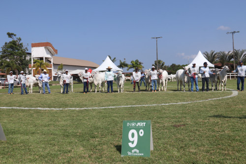 14ª Exponel de Vila Velha é Exposição Ouro dos Rankings Nelore e acontece de 8 a 13 de junho