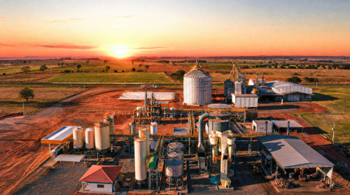 Better Beef produz carne premium em modelo verticalizado de autossuficiência energética e agricultura regenerativa