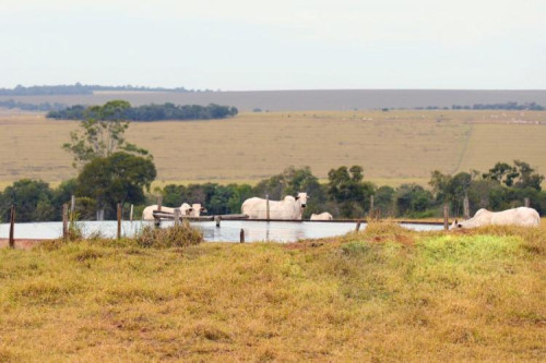 CCIR 2026: Prazo para regularizar imóvel rural sem juros termina em 17 de junho