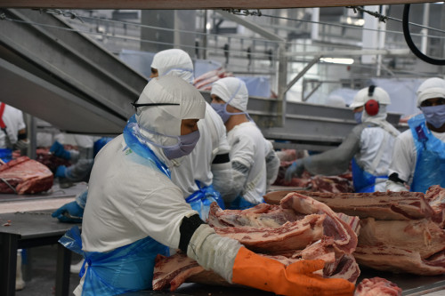 Indústrias suspendem abates com trava nas exportações para a China