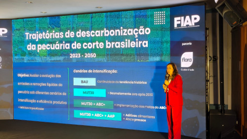 Como a mudança no consumo da China afeta o preço do boi em MS