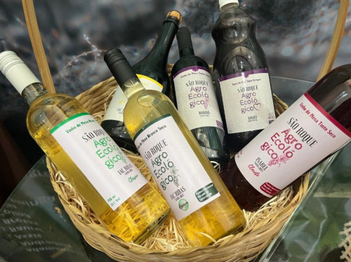 Pesquisa de São Roque leva vinhos agroecológicos a festival paulista