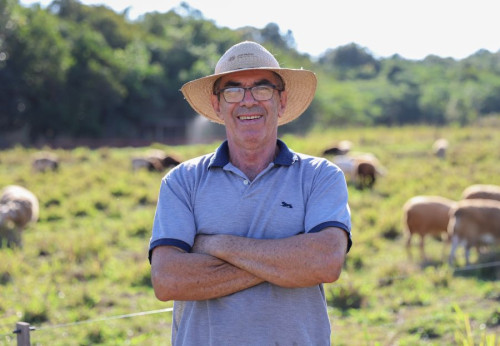 Apicultor de Terenos transforma terra parada em criação de ovelhas