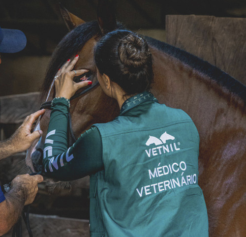 Vetnil fortalece atuação na medicina veterinária equina durante a XXVI edição da Conferência Anual da ABRAVEQ
